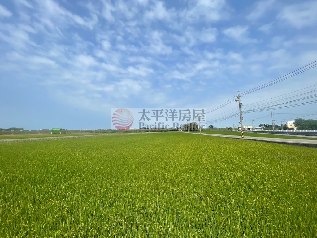 近育民國小｜雙面路｜千坪美農地