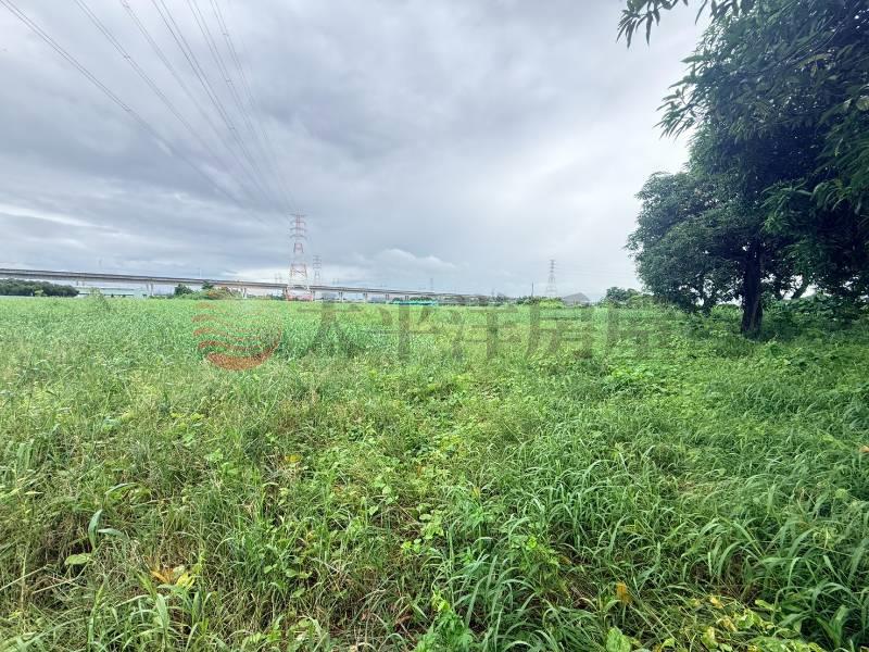 台南高鐵林子邊段3.6分投資農地D