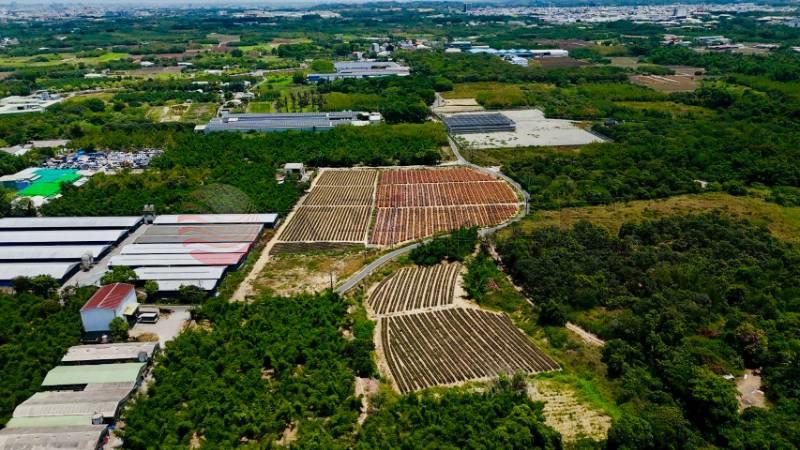 台南高鐵沙崙農場大農地