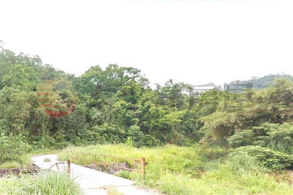 近梅花湖山坡保育地