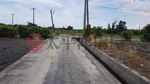 近二林中科安殿巷旁田地