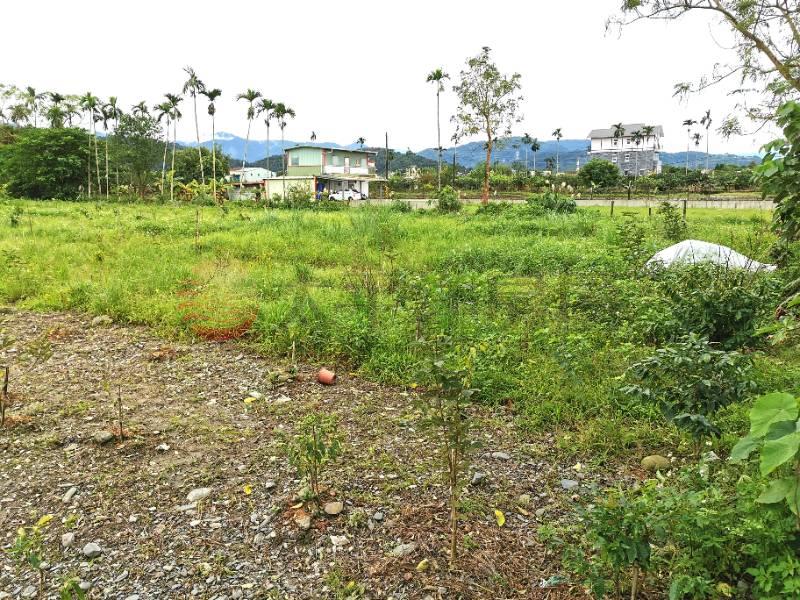 梅花湖樂活小農地454