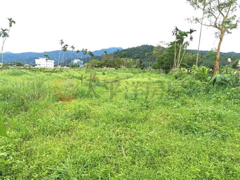 梅花湖清新足坪美農地