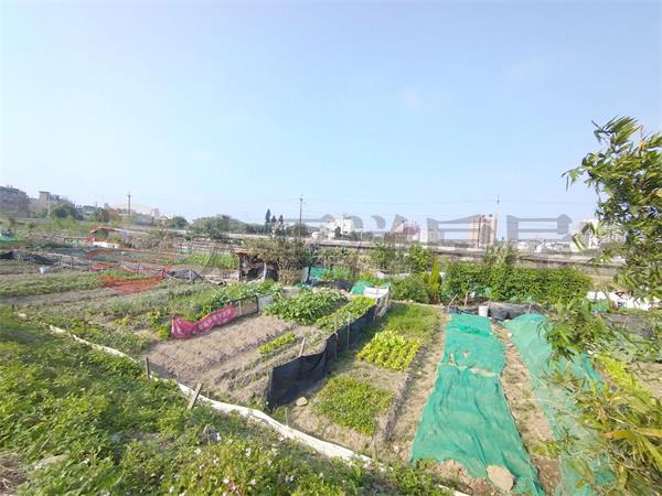 北勢國小市區農地