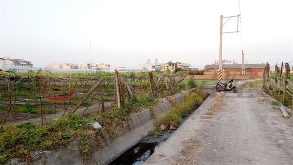 員林員大路旁農地