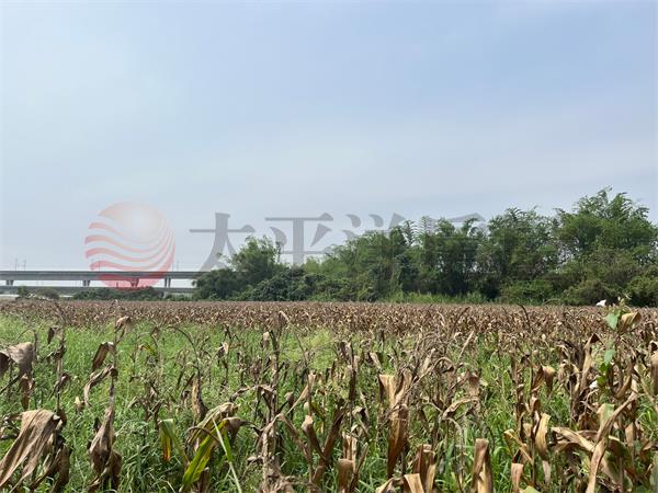 近高鐵4.1分方正農地A