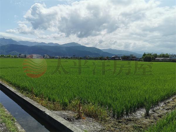 國五旁雙面路足坪美農地