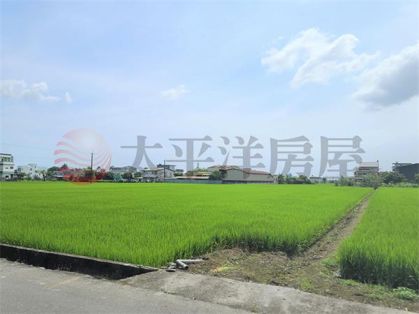 冬山柯林456美農地