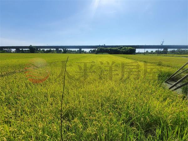 冬山近國五美農地