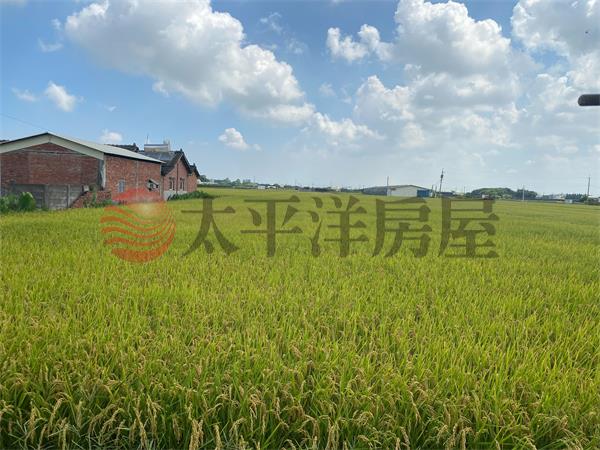 二林犁頭厝美田