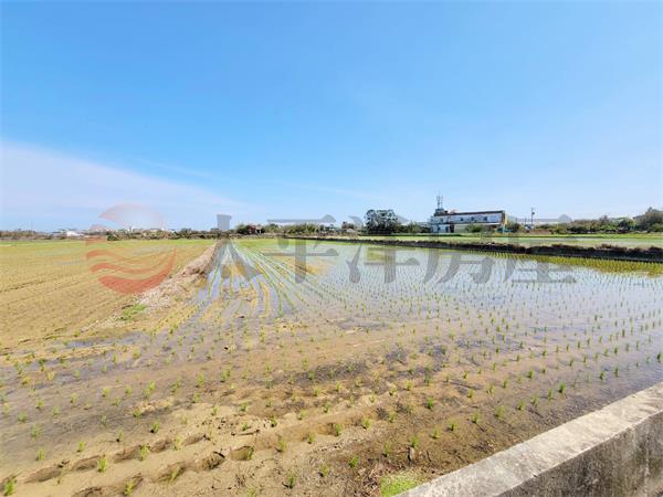 新屋下田心美田