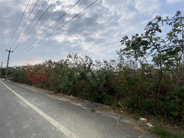 竹塘正中央路美田