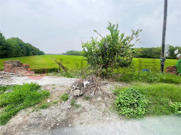 溪州近莒光路雙面路田