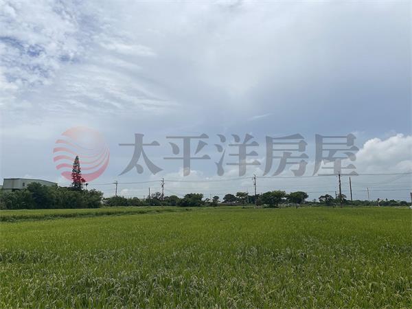 青埔特區旁稀有分割農地