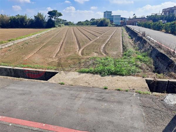 觀音廣青路漂亮角地