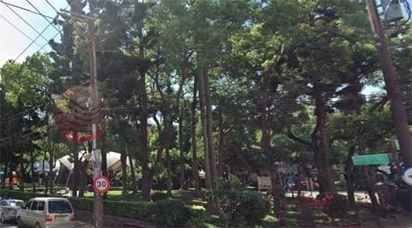 中壢林森國小收租店面