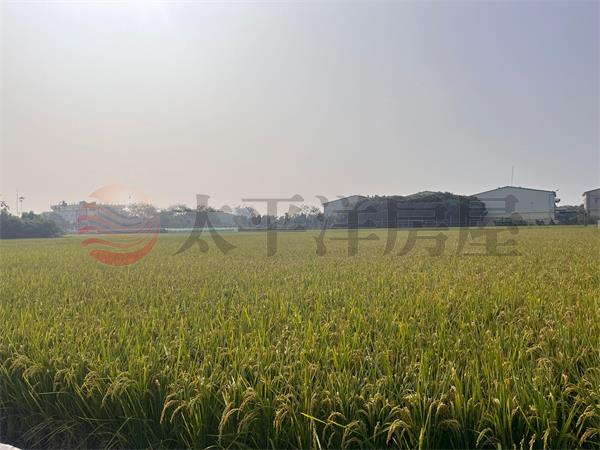 埔心6米路美農地