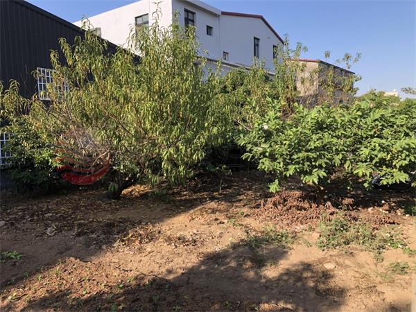 正義路10米大面寬建地