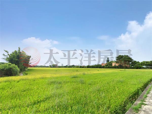 近捷運A20美田