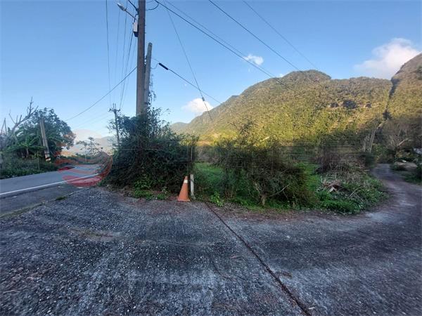 台東東河森林區農牧用地