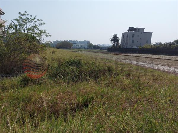 正水源路高速公路特定區田地