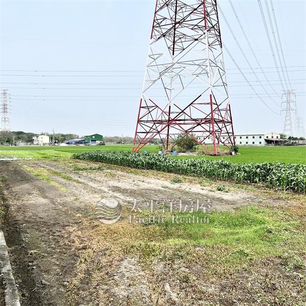 大肚區臨6米路方正農地