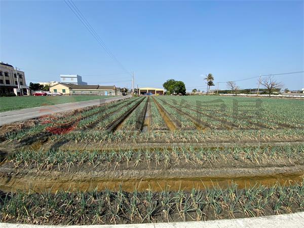 近二林中科園區田地