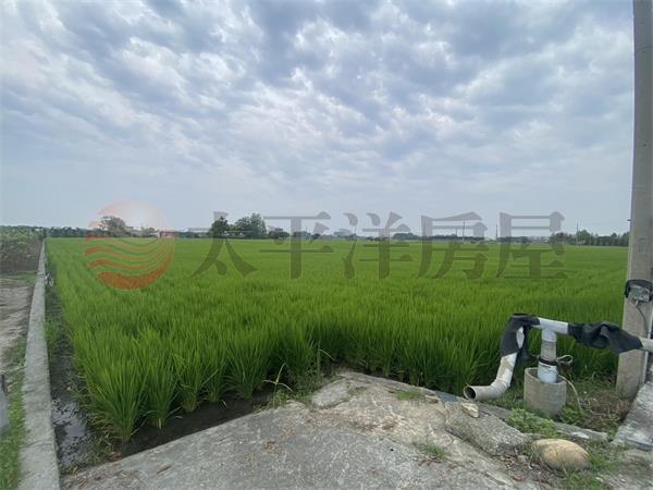 田中東和國小方正美田