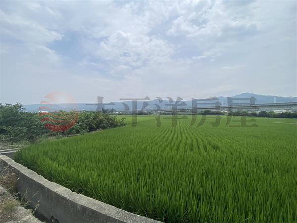 社頭超俗美田(1)