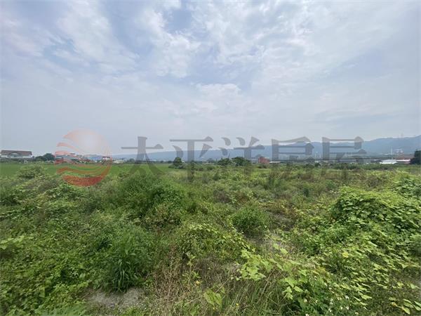社頭超俗美田(2)