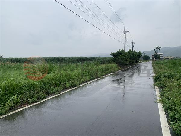 田中興酪路旁農地