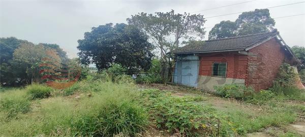 社頭石坑二巷殯葬用地+建地+旱地