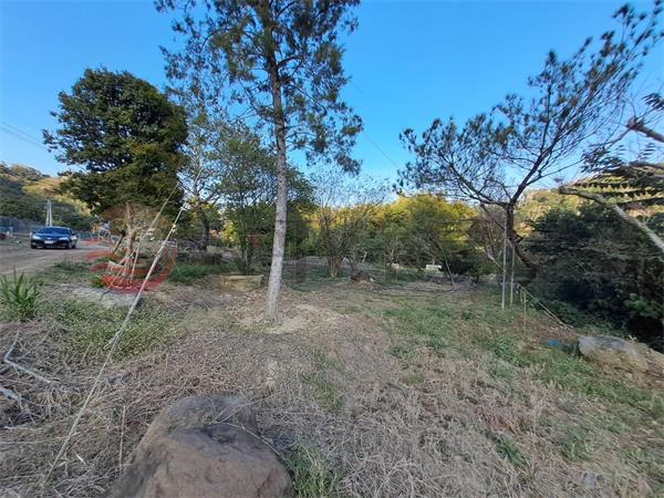 去台中30分鐘南投國姓高速公路旁農地