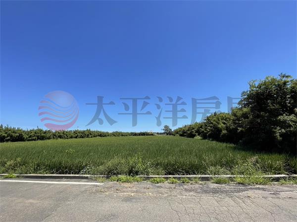新屋區笨子港美農地