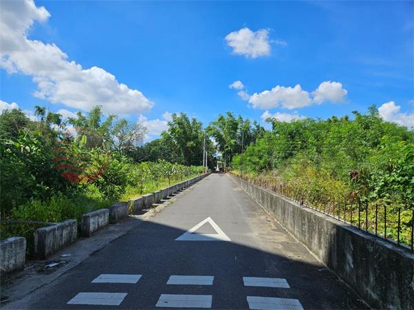 和美國3東寧路田地1