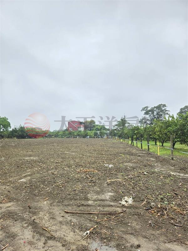 台南市麻豆區曾文農工旁農地(2)
