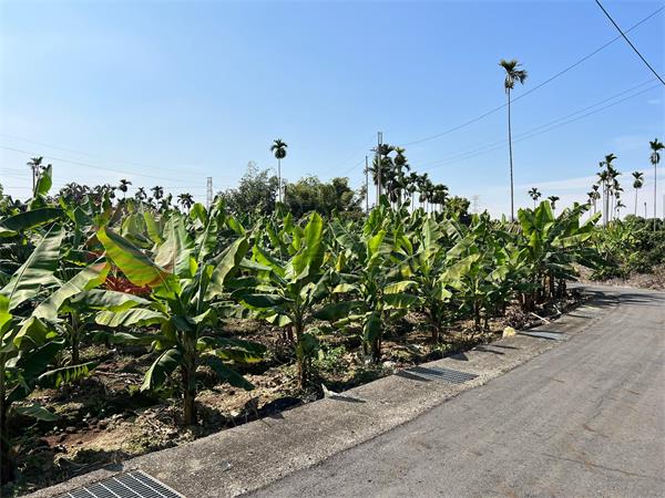 九九峰四面路風水好美農地