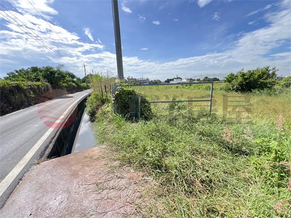埔心車段田中田 田地