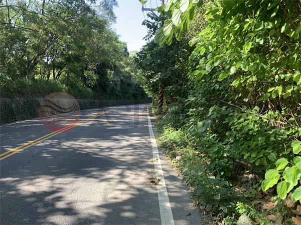 員林員草路農保地