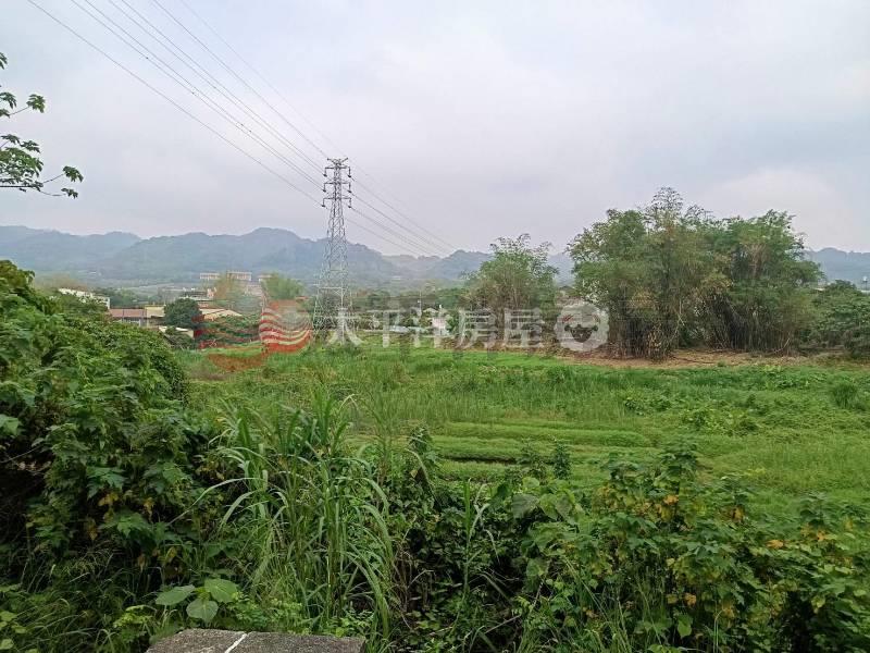 急售~社頭鄉稀有8米大馬路旁7.5分農地