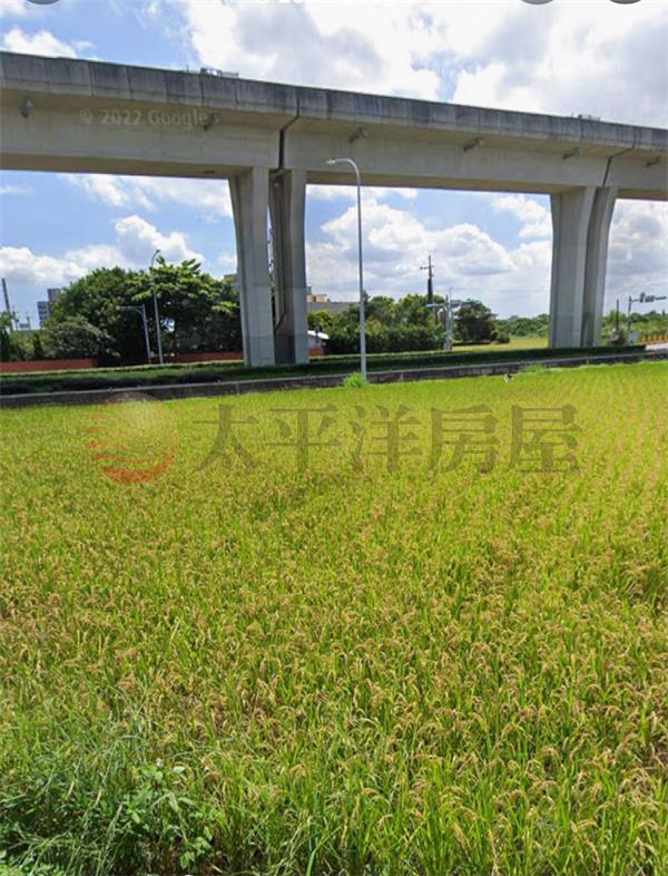 中豐北路旁美農地