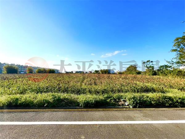 觀音都計內426坪農地