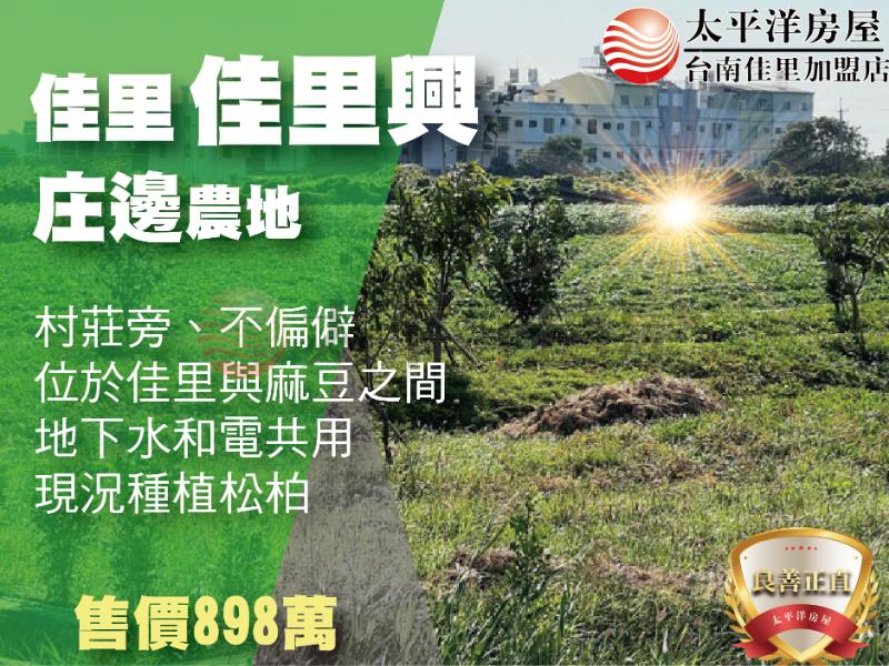 佳里興庄邊2分5農地