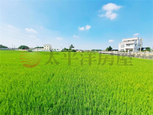 【社頭都市計畫農地】臨路方正農地