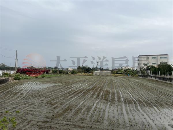 芬園新芬園段田地