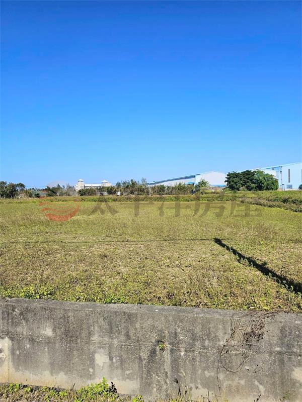 新屋東福路美農地