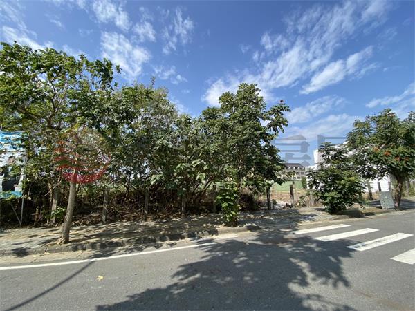 高鐵特區62美建地