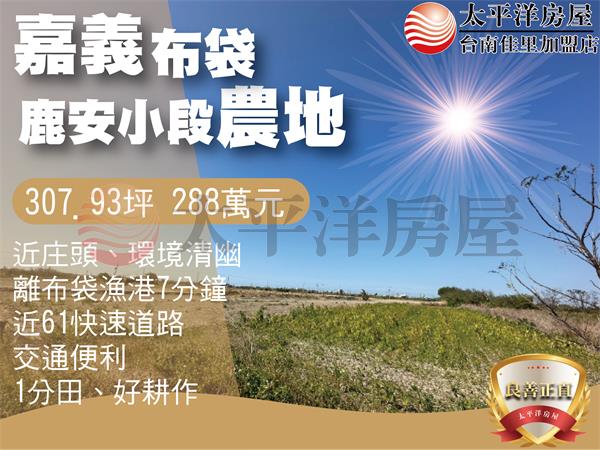 布袋鹿安小段1分田