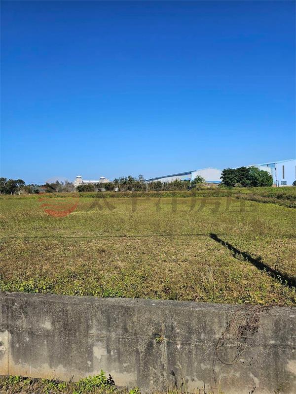 新屋近東福路農地