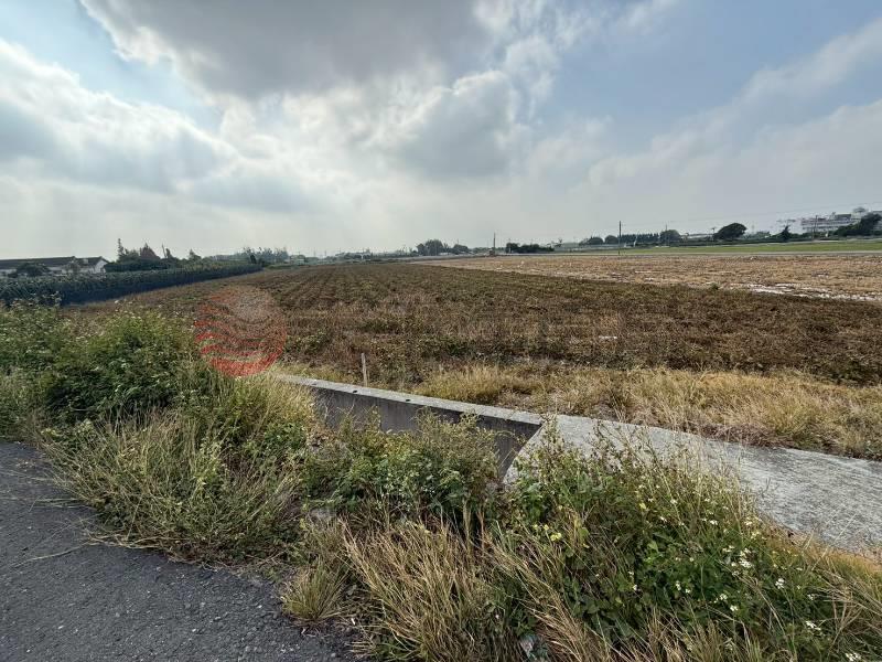 正二林竹林路美田